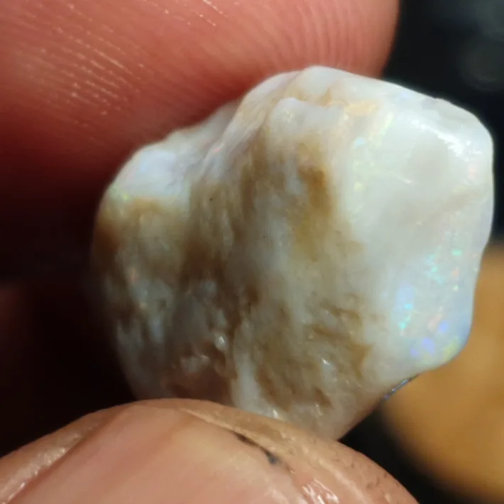 19.5 Carats Coober Pedy Rough Opal Parcel - 4