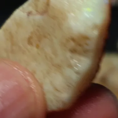 26 Carats Coober Pedy Opal Rough  - 4