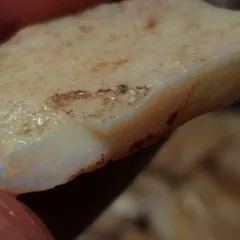 26 Carats Coober Pedy Opal Rough  - 5