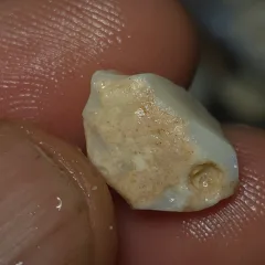 No Reserve-Coober Pedy Opal Gamble Rough  - 1