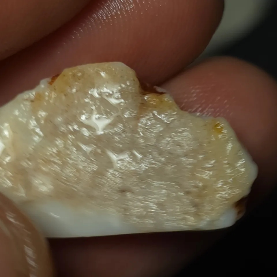 No Reserve-Coober Pedy Opal Gamble Rough  - 4