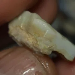 No Reserve-Coober Pedy Opal Gamble Rough  - 4