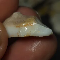 No Reserve-Coober Pedy Opal Gamble Rough  - 2
