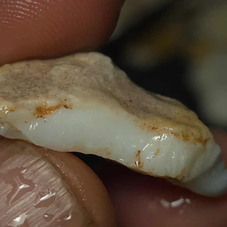 No Reserve-Coober Pedy Opal Gamble Rough  - 4
