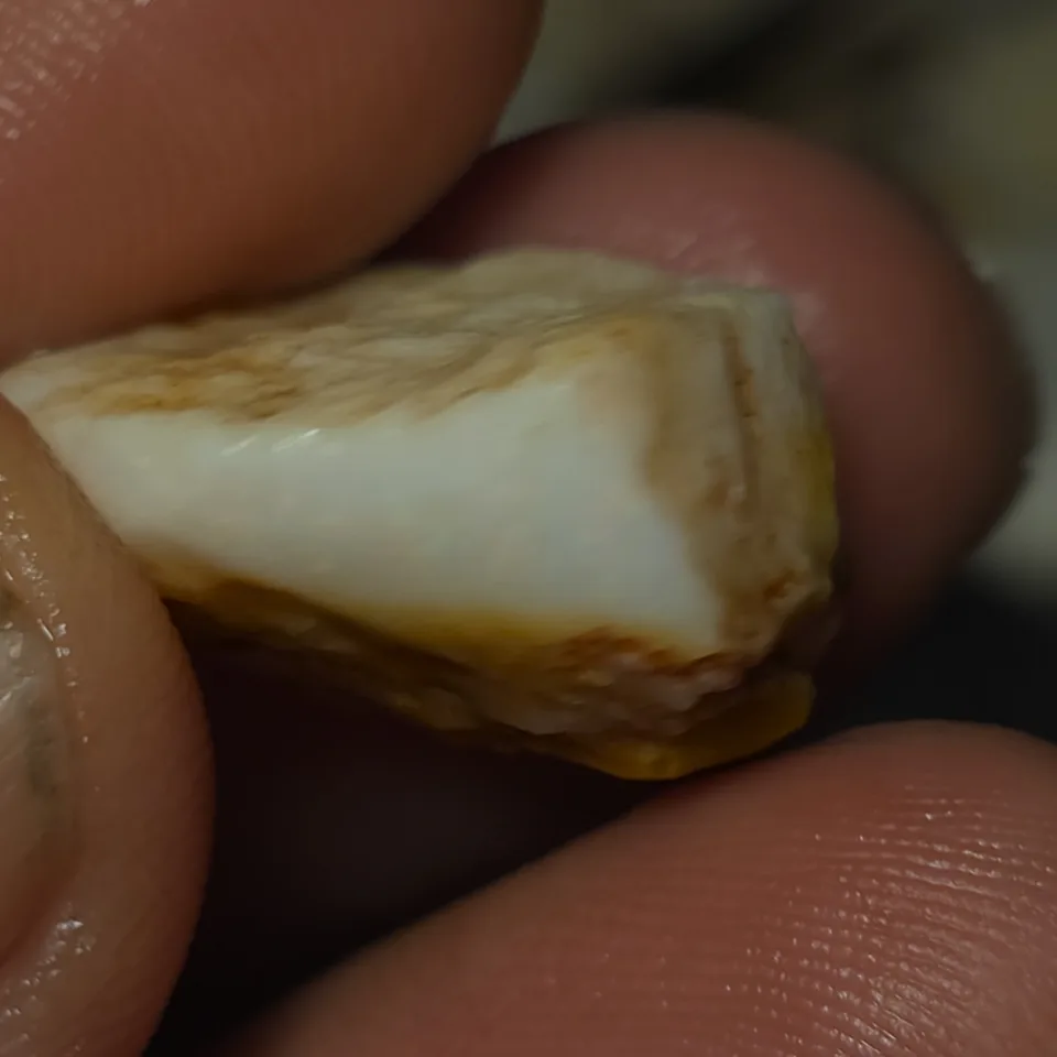 No Reserve-Coober Pedy Opal Gamble Rough - 4