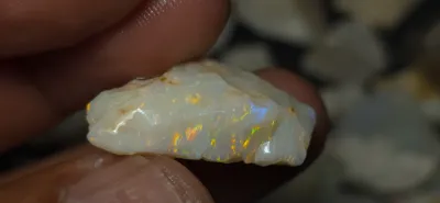 18.7 Carats Coober Pedy Opal Rough 