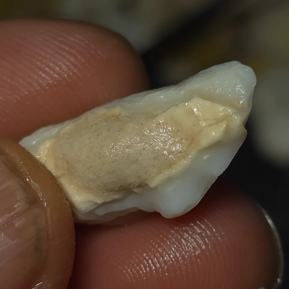 No Reserve-Coober Pedy Opal Gamble Rough  - 8