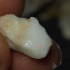 No Reserve-Coober Pedy Opal Gamble Rough  - 1