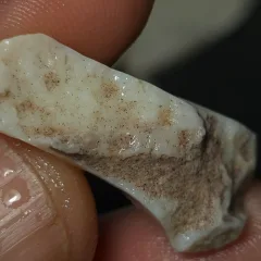 No Reserve-Coober Pedy Opal Rough  - 5