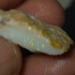No Reserve-Coober Pedy Opal Rough  - 4