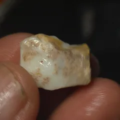 12.7 Carats Coober Pedy Opal Rough  - 2