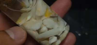 75 Carat Coober Pedy Opal Rough 