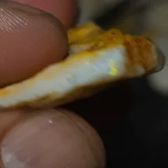 No Reserve-Coober Pedy Opal Gamble Rough  - 3
