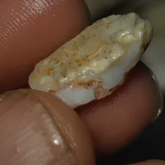 No Reserve-Coober Pedy Opal Gamble Rough  - 1