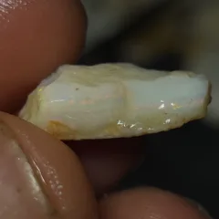 No Reserve-Coober Pedy Opal Gamble Rough  - 8
