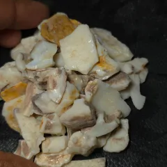 485 Carats Coober Pedy Opal Rough  - 3
