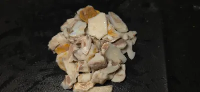 485 Carats Coober Pedy Opal Rough 