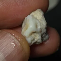 No Reserve-Coober Pedy Opal Gamble Rough  - 2