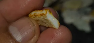No Reserve-Coober Pedy Opal Gamble Rough 