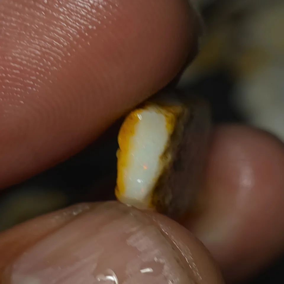 No Reserve-Coober Pedy Opal Gamble Rough  - 2