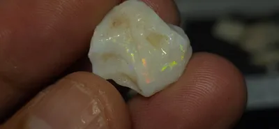 Coober Pedy Gamble Rough Opal 