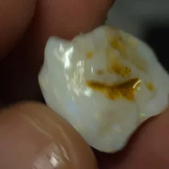 Coober Pedy Gamble Rough Opal  - 4