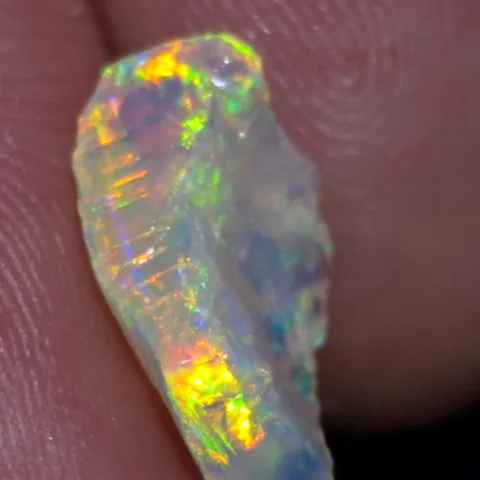 Stunning Australian Opal Fossil Gem.