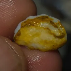 No Reserve-Coober Pedy Opal Gamble Rough  - 4