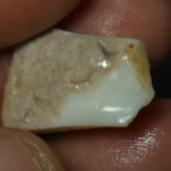 No Reserve-Coober Pedy Opal Gamble Rough  - 4