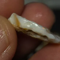 Coober Pedy Gamble Rough Opal  - 4