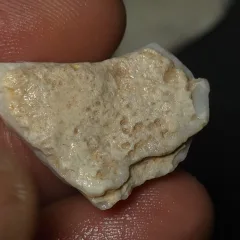 No Reserve-Coober Pedy Opal Gamble Rough  - 3