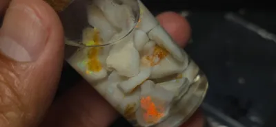 75 Carats Coober Pedy Opal Rough 