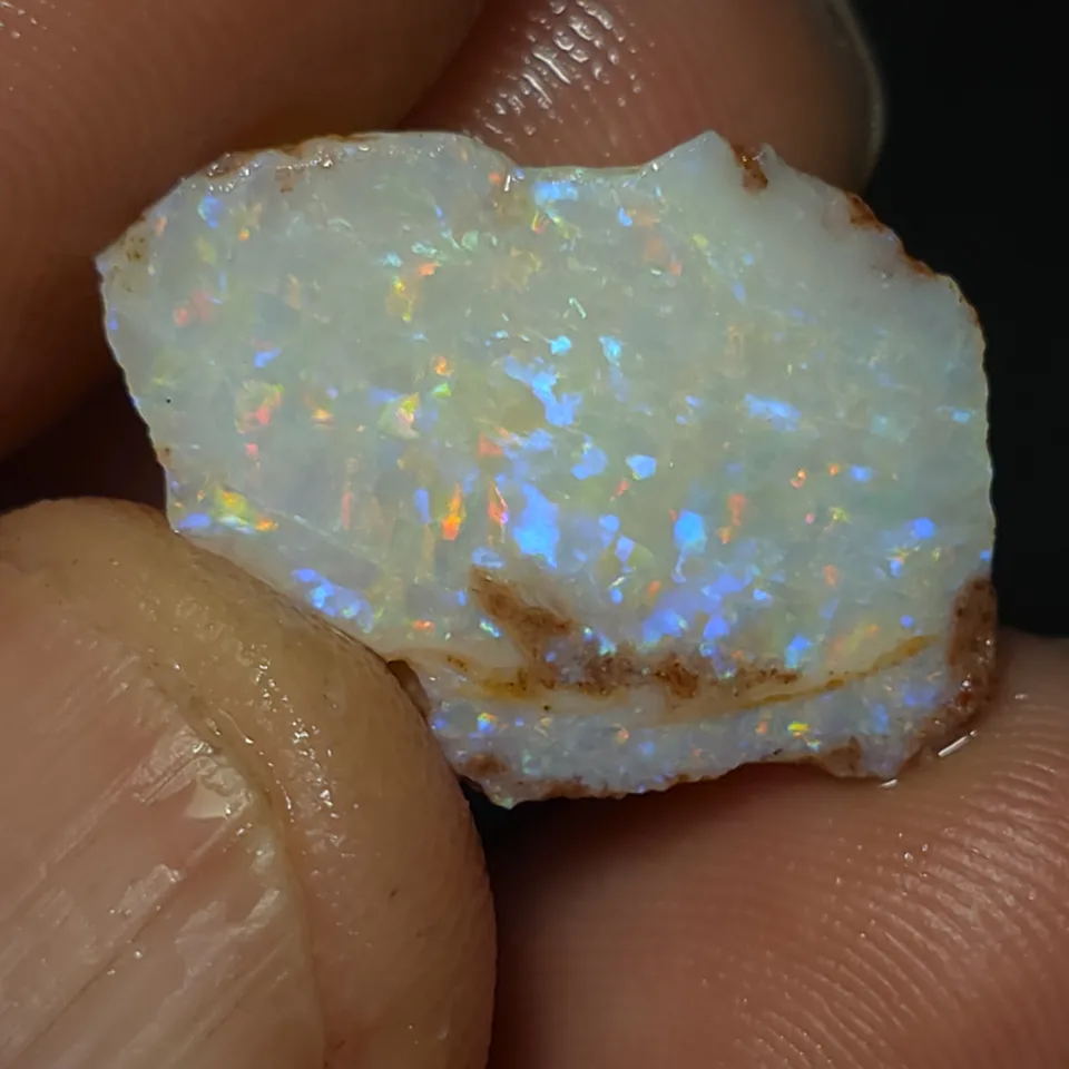 Coober Pedy Opalised shell piece