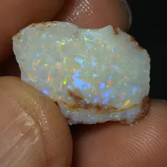 Coober Pedy Opalised shell piece - 2