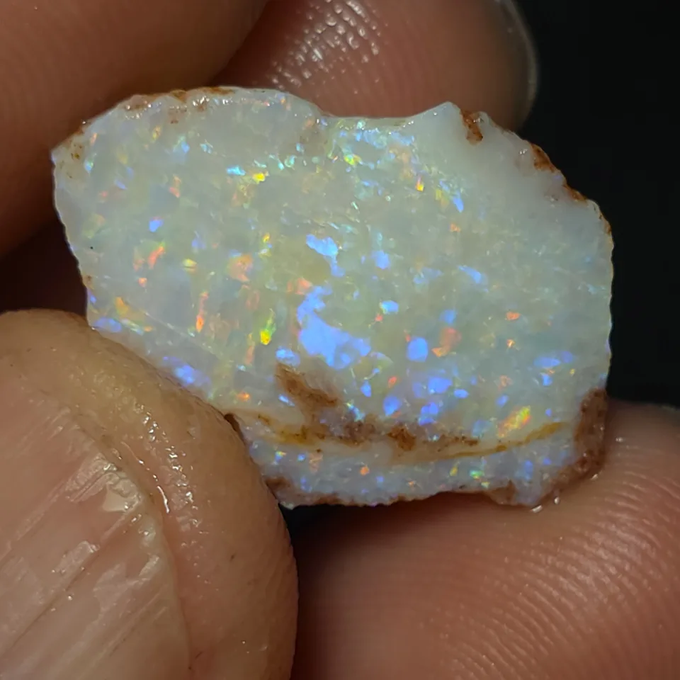 Coober Pedy Opalised shell piece - 2