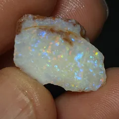 Coober Pedy Opalised shell piece - 3