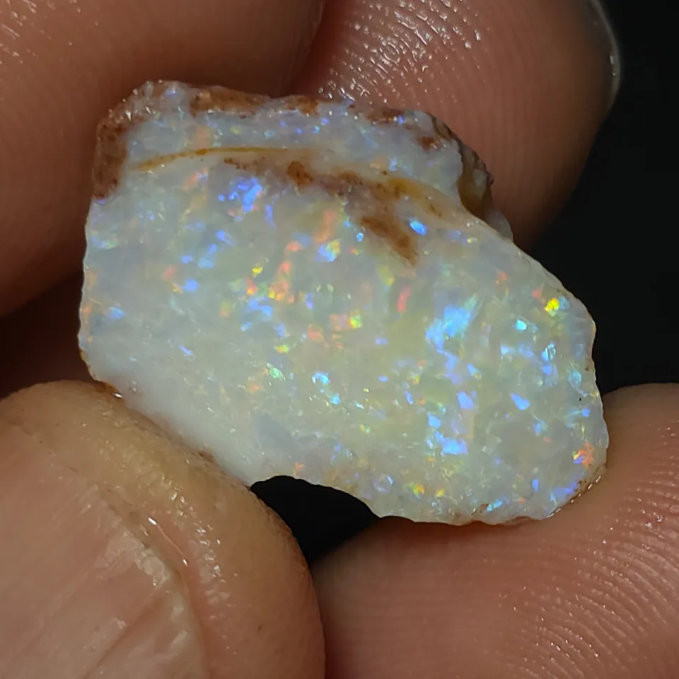 Coober Pedy Opalised shell piece - 3