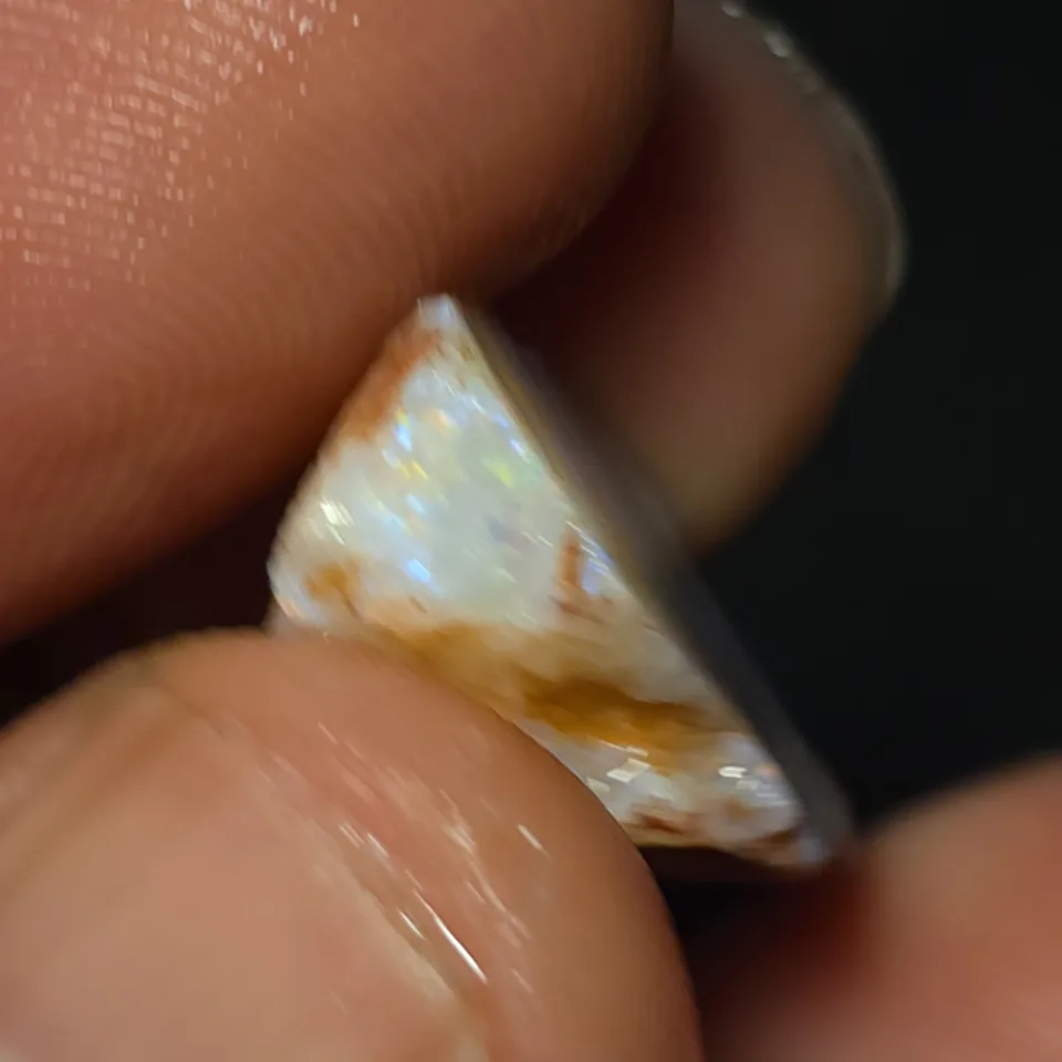Coober Pedy Opalised shell piece - 4