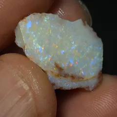 Coober Pedy Opalised shell piece - 5