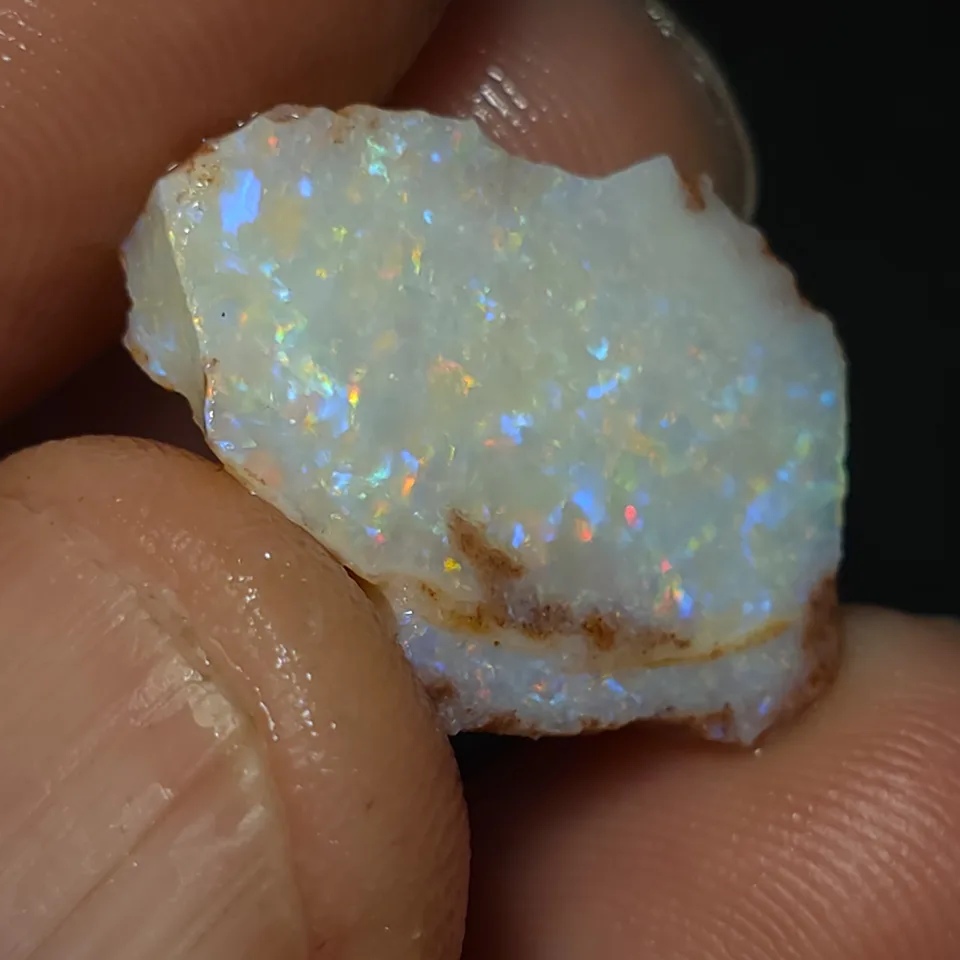 Coober Pedy Opalised shell piece - 5