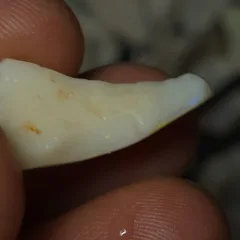 13.6 Carats Coober Pedy Opal Rough  - 5