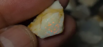 16 Carats Coober Pedy Opal Rough 