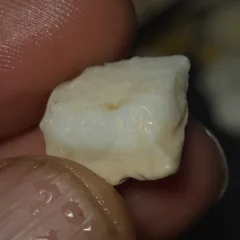 No Reserve-Coober Pedy Opal Gamble Rough  - 3