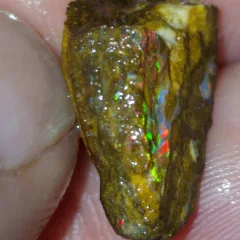 Tops Red multicolour Boulder from Opalton.   - 6