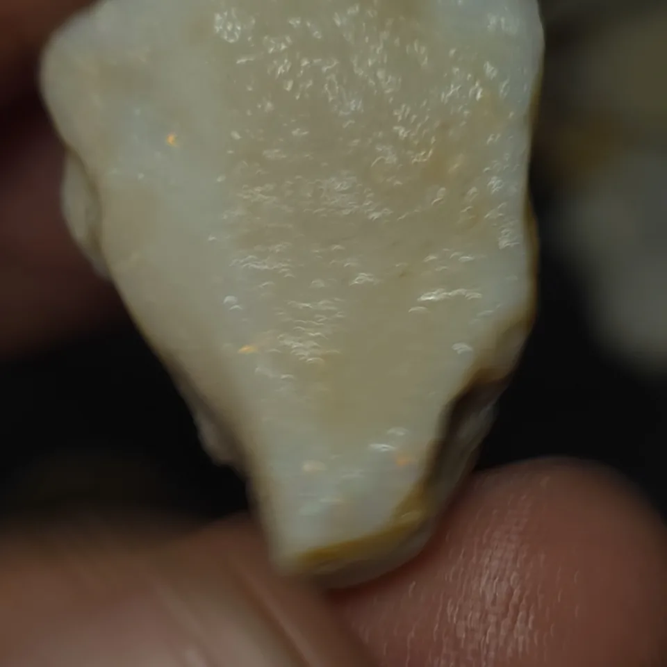 No Reserve-Coober Pedy Opal Gamble Rough - 4