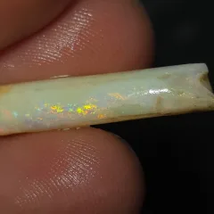 6.5 Coober Pedy Belemnite Fossil - 6
