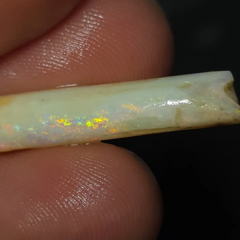 6.5 Coober Pedy Belemnite Fossil - 6