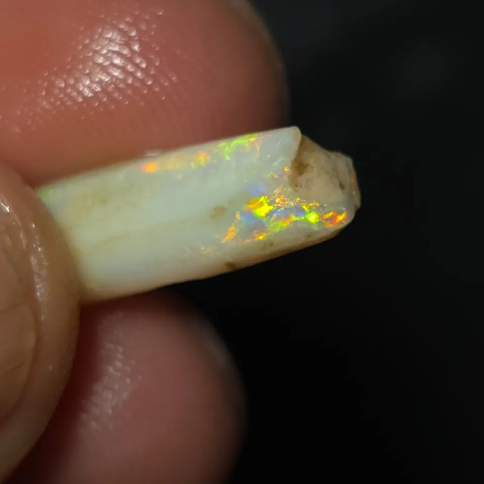 6.5 Coober Pedy Belemnite Fossil - 2