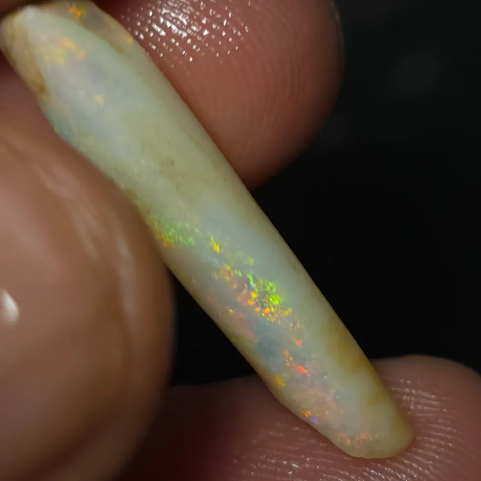 6.5 Coober Pedy Belemnite Fossil - 3
