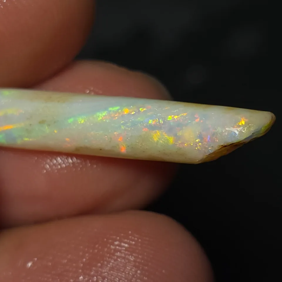 6.5 Coober Pedy Belemnite Fossil - 5
